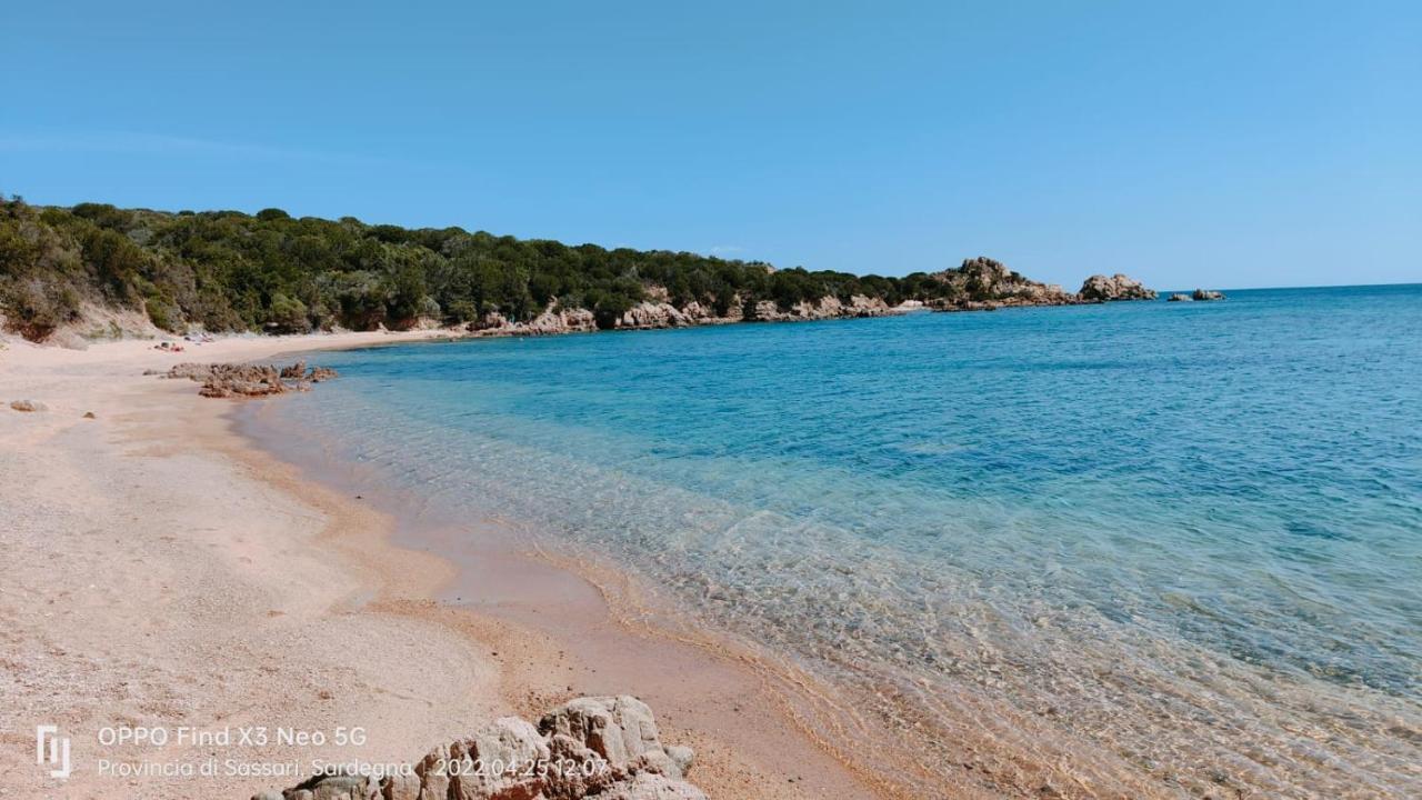 Casa Mughetto R5055 Seafront, Private Sea Access, Swimming Pool Villa La Maddalena  Bagian luar foto