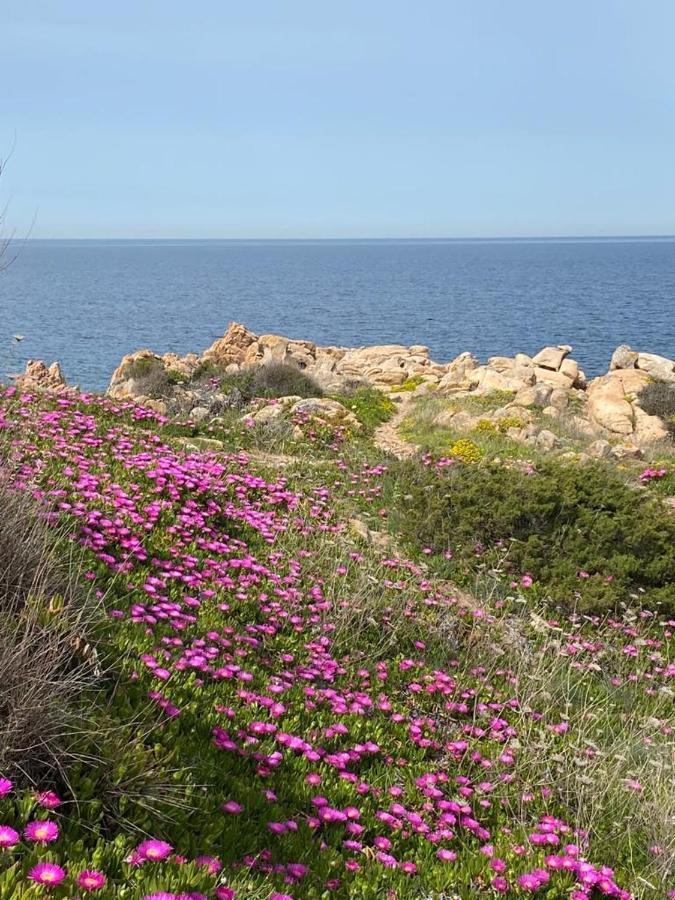 Casa Mughetto R5055 Seafront, Private Sea Access, Swimming Pool Villa La Maddalena  Bagian luar foto