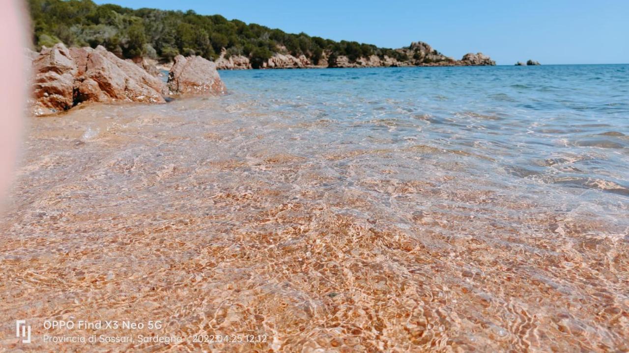 Casa Mughetto R5055 Seafront, Private Sea Access, Swimming Pool Villa La Maddalena  Bagian luar foto