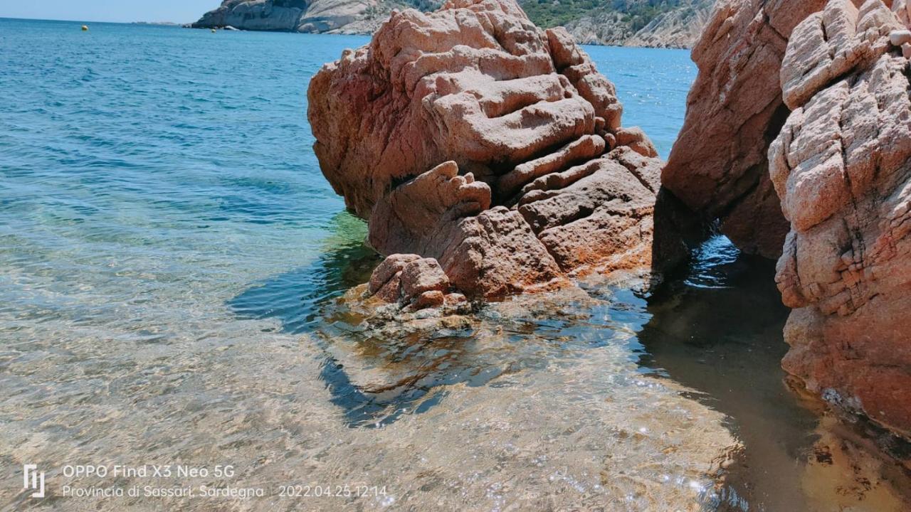 Casa Mughetto R5055 Seafront, Private Sea Access, Swimming Pool Villa La Maddalena  Bagian luar foto