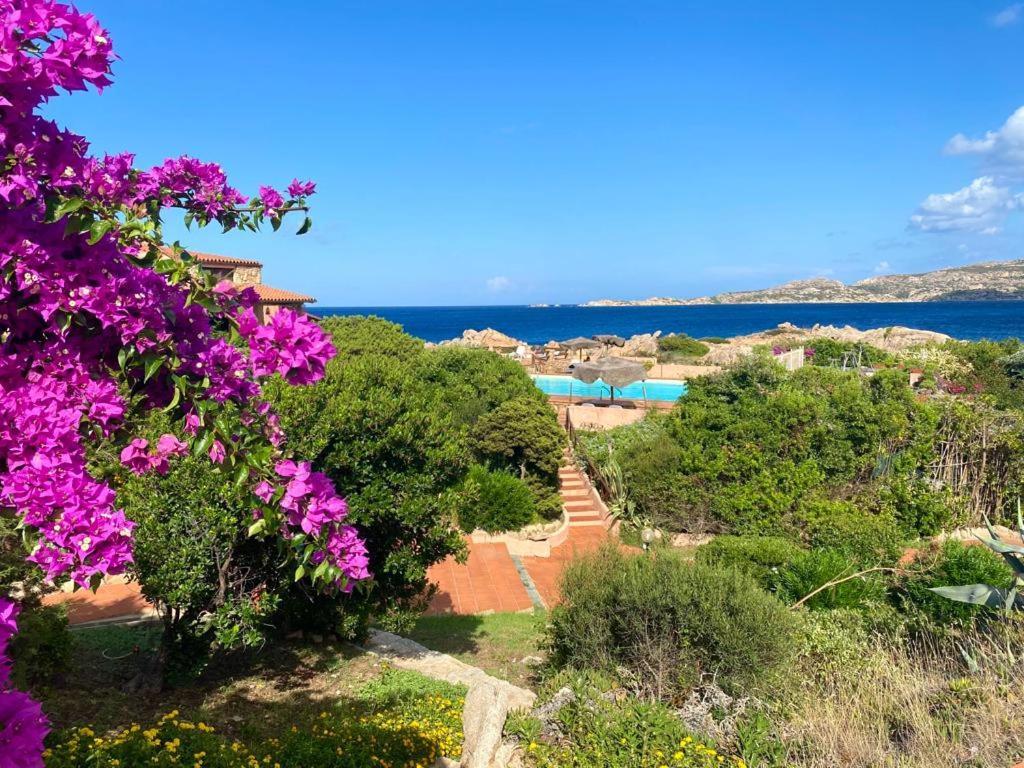 Casa Mughetto R5055 Seafront, Private Sea Access, Swimming Pool Villa La Maddalena  Bagian luar foto