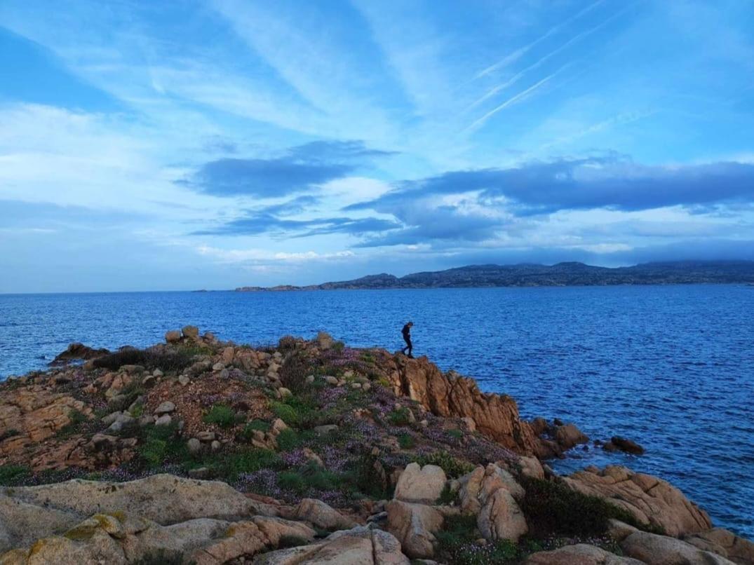 Casa Mughetto R5055 Seafront, Private Sea Access, Swimming Pool Villa La Maddalena  Bagian luar foto